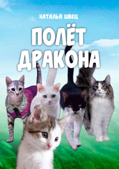 Швец Наталья: Полет дракона