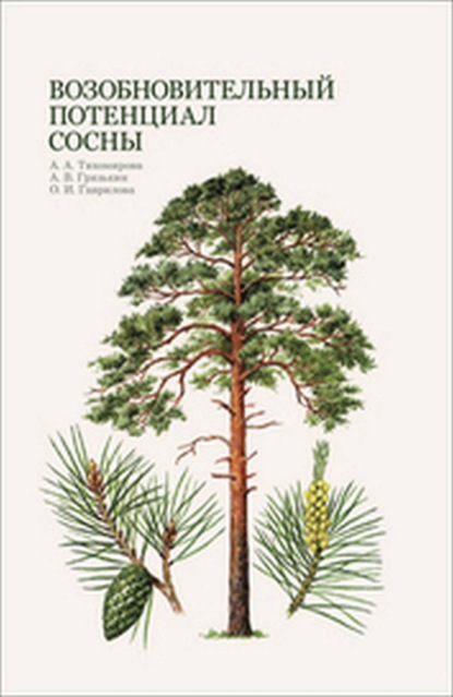 В. А. Грязькин: Возобновительный потенциал сосны