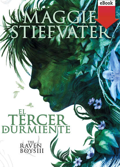 Stiefvater Maggie: El tercer durmiente