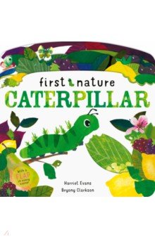 Evans Harriet: Caterpillar