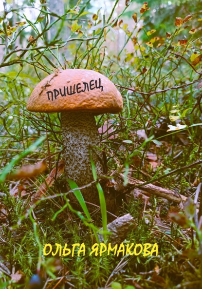 Васильевна Ольга Ярмакова: Пришелец