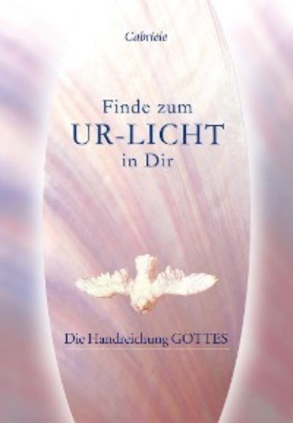 Kübli Martin: Finde zum UR-LICHT in Dir