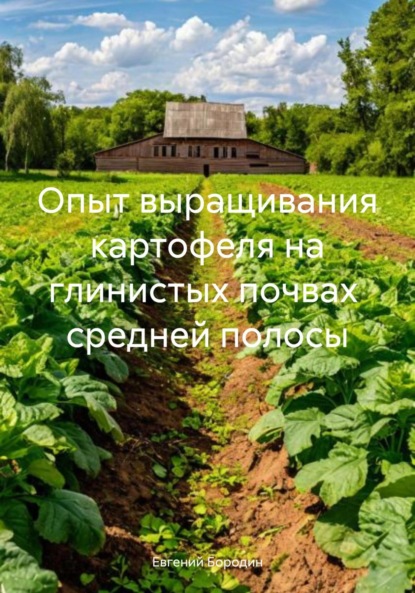 Владимирович Евгений Бородин: Опыт выращивания картофеля на глинистых почвах средней полосы