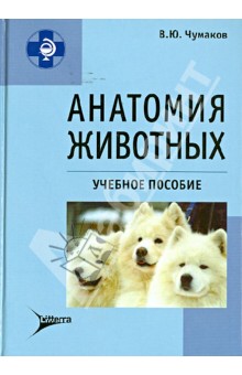 Чумаков В. Ю.: Анатомия животных: учебное пособие