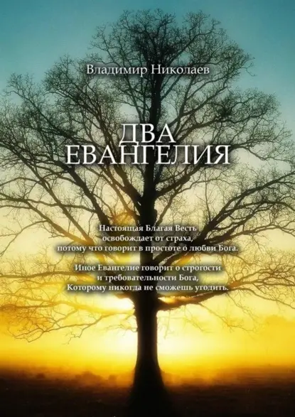 Николаев Владимир Аркадьевич: Два Евангелия. Современные и вечные проблемы христианства, отношений человека и Бога