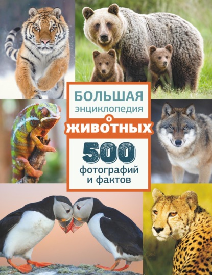 А. А. Спектор: Большая энциклопедия о животных. 500 фотографий и фактов