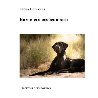 Александровна Елена Потехина: Бим и его особенности