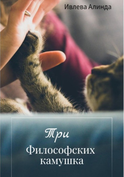 Ивлева Алинда: Три философских камушка