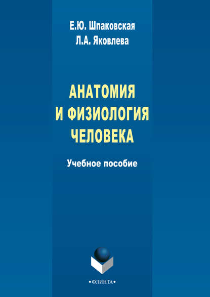 А. Л. Яковлева: Анатомия и физиология человека