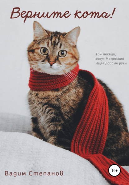Степанов Вадим: Верните кота