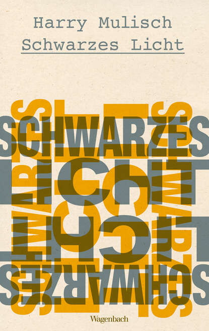 Mulisch Harry: Schwarzes Licht