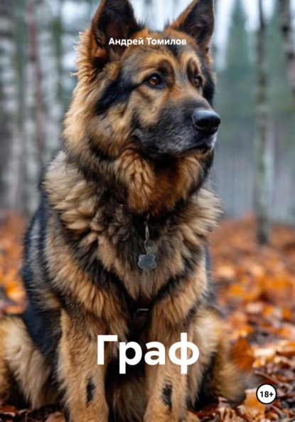 Андреевич Андрей Томилов: Граф