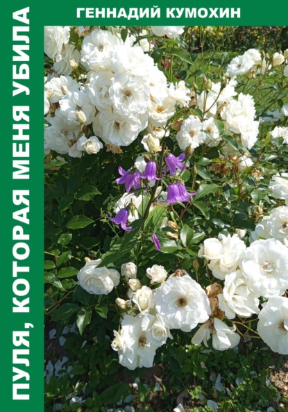 Вениаминович Геннадий Кумохин: Пуля, которая меня убила