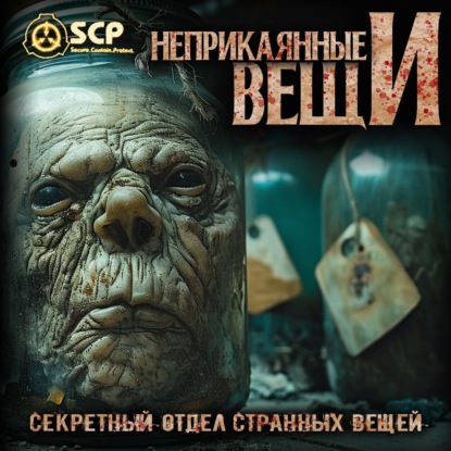 Волкичевский Константин: Неприкаянные вещи