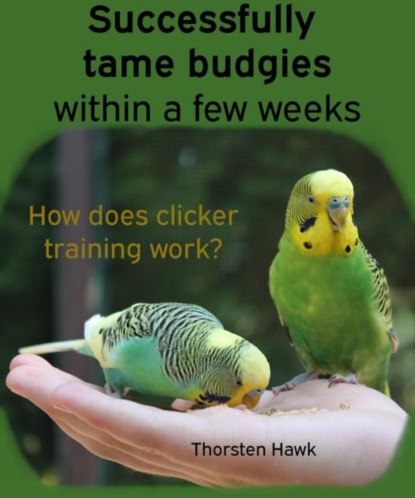 Hawk Thorsten: Successfully tame budgies within a few weeks