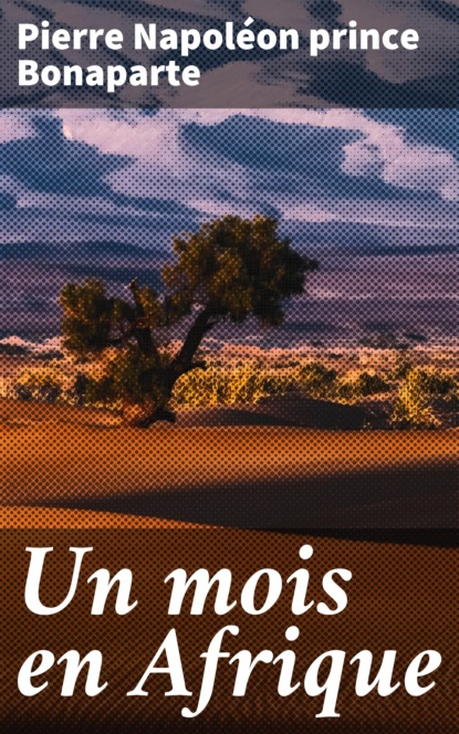Un mois en Afrique