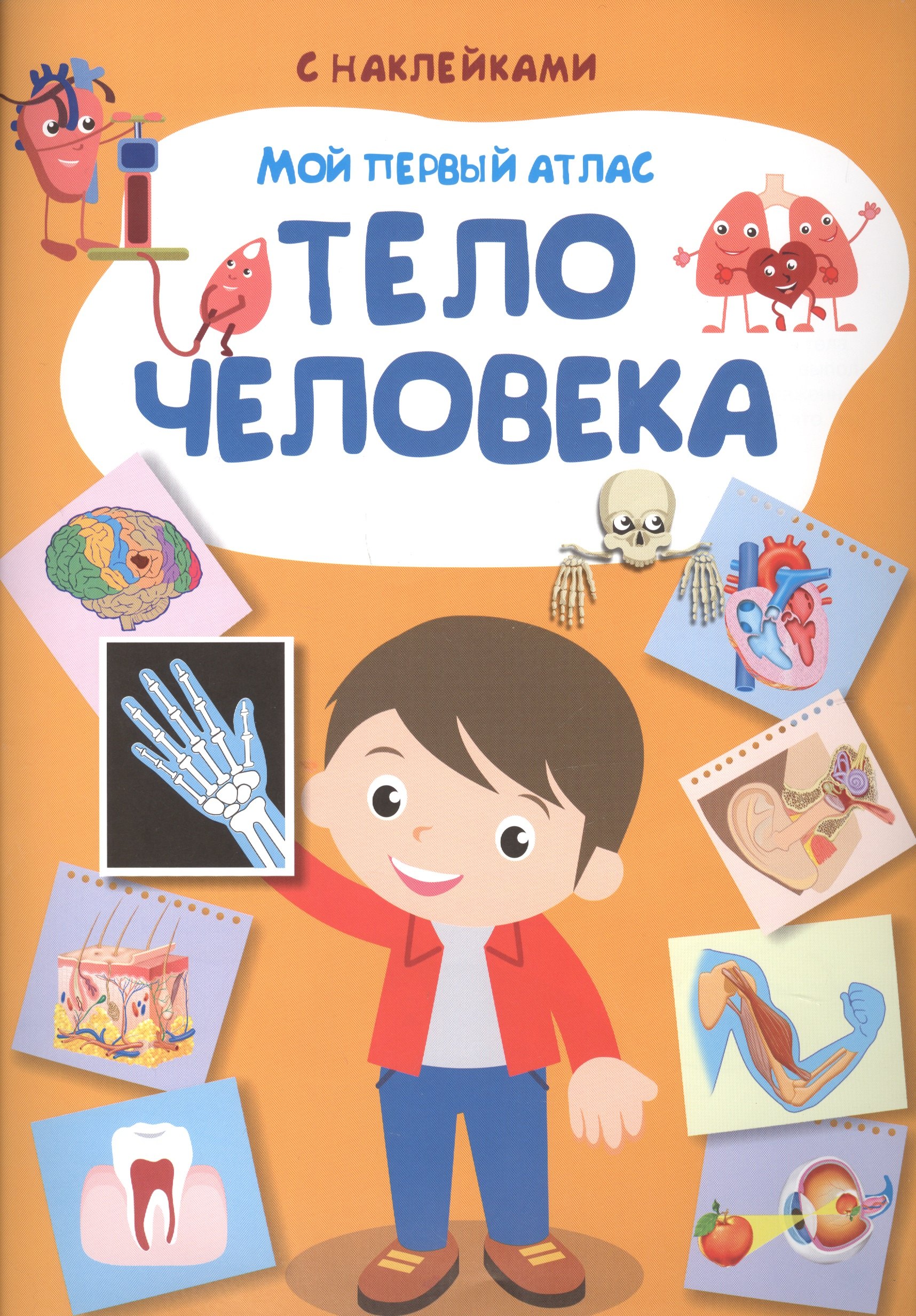 Вахрушева Е.С.: Мой первый атлас. Тело человека