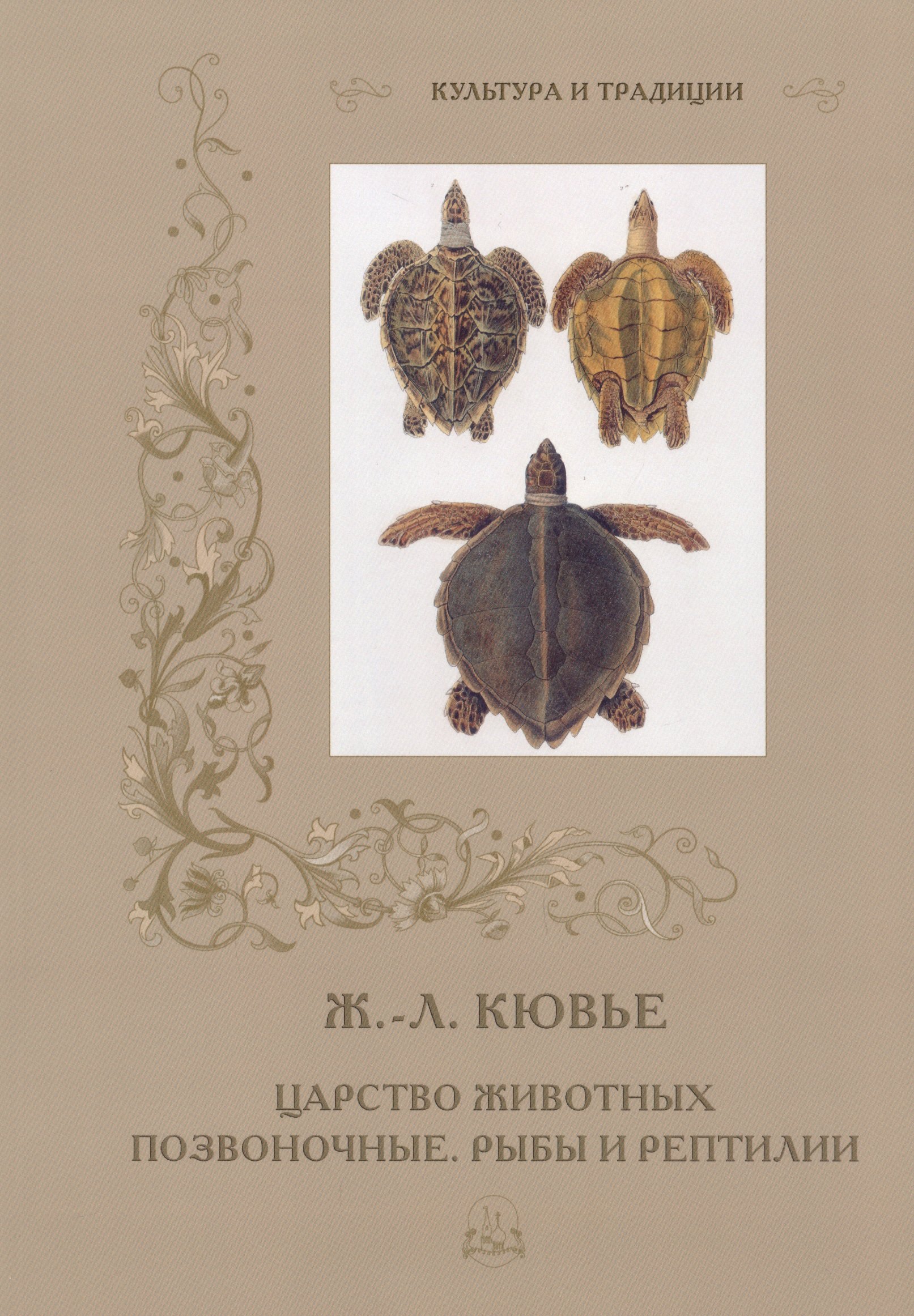 Царство животных. Позвоночные. Рыбы и рептилии