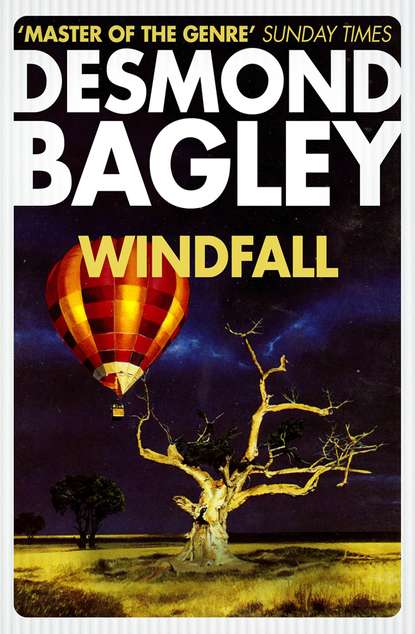 Bagley Desmond: Windfall