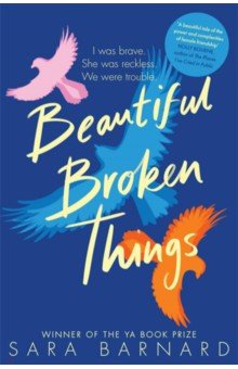 Barnard Sara: Beautiful Broken Things