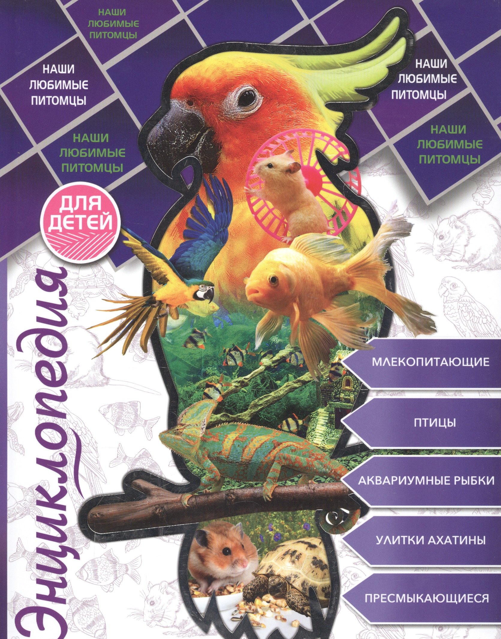 Соколова Людмила: Энциклопедия для детей наши любимые питомцы
