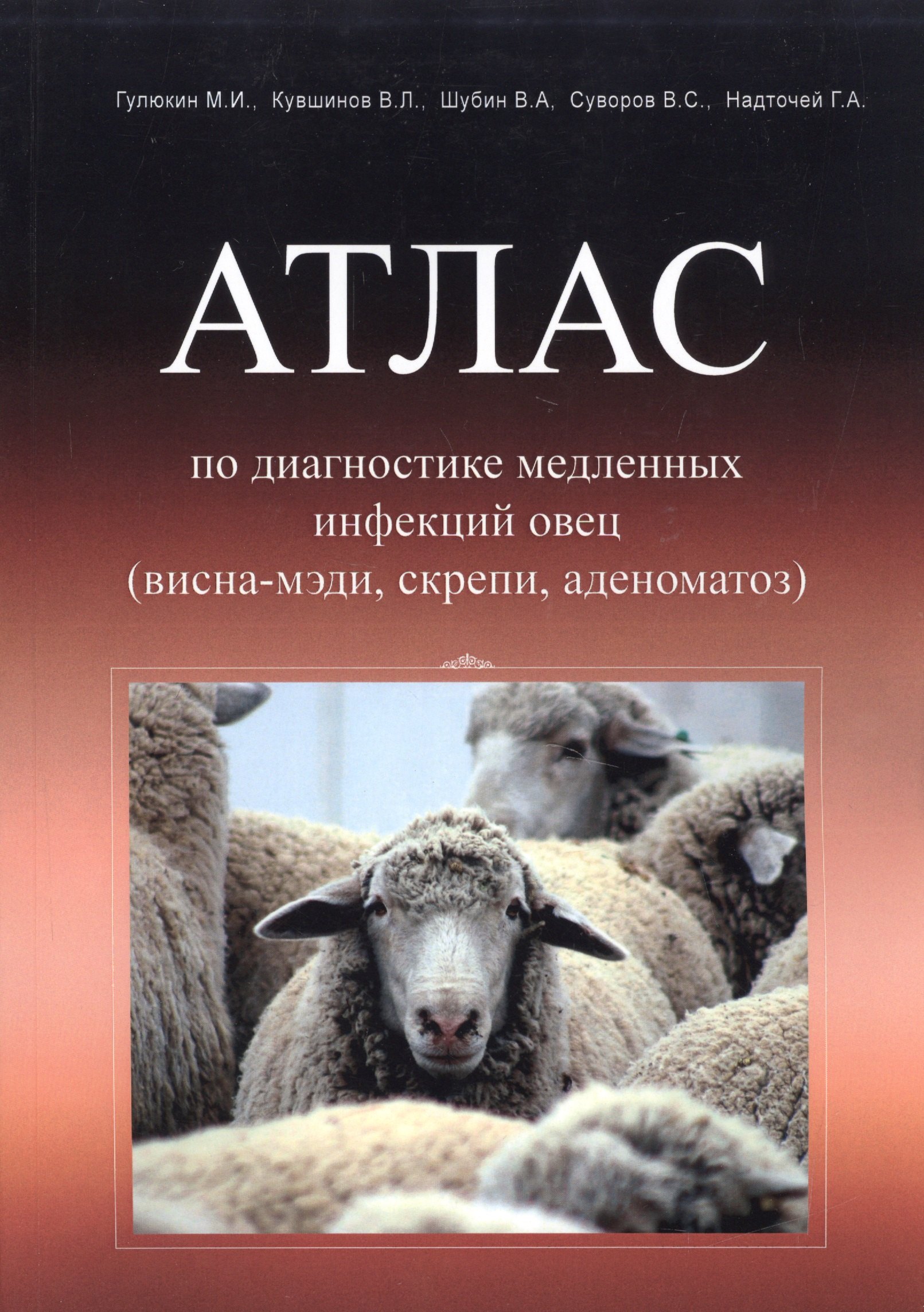 Иванович Гулюкин Михаил: Атлас по диагностике медленных инфекций овец (висна-мэди, скрепи, аденоматоз)