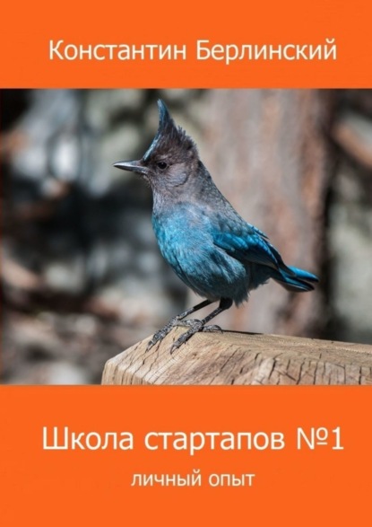 Константинович Константин Берлинский: Школа стартапов №1: Личный опыт. 2-ое издание с иллюстрациями