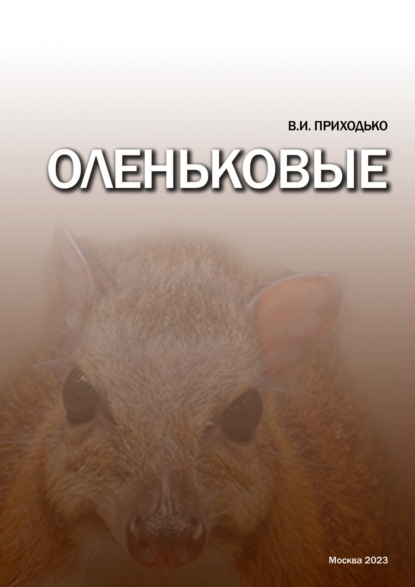 И. В. Приходько: Оленьковые (Tragulidae)