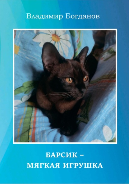 Богданов Владимир: Барсик – мягкая игрушка