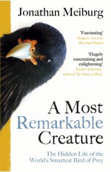Meiburg Jonathan: A Most Remarkable Creature. The Hidden Life of the World’s Smartest Bird of Prey
