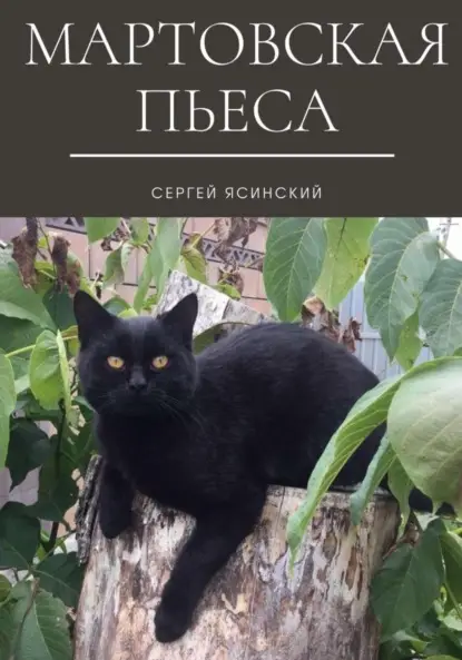 Леонидович Сергей Ясинский: Мартовская пьеса