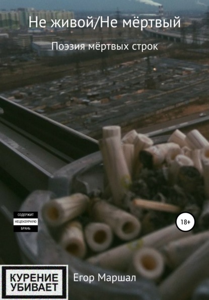 Маршал Егор: Не живой/Не мёртвый