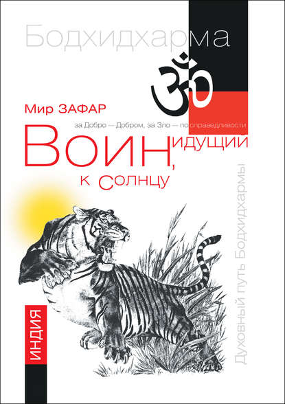 Зафар Мир: Воин, идущий к солнцу. Реки и горы Бодхидхармы. Книга 1