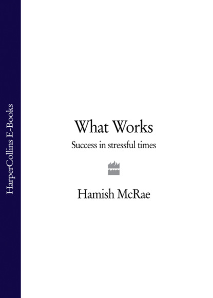 McRae Hamish: What Works: Success in Stressful Times