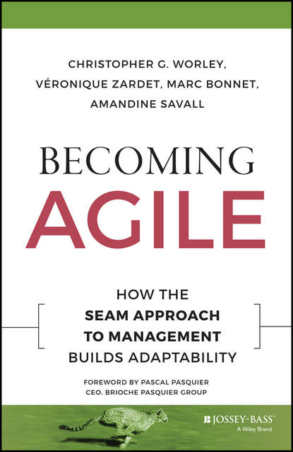 Becoming Agile. How the SEAM Approach to Management Builds Adaptability