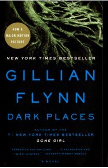 Flynn Gillian: Dark Places