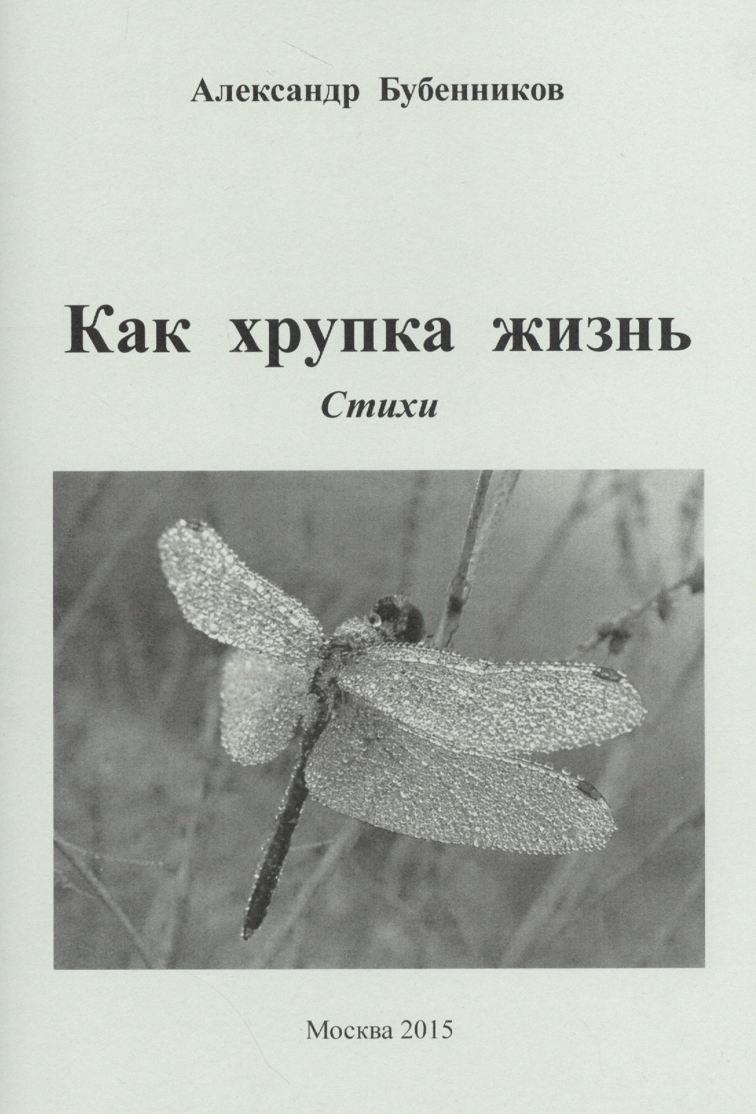 Николаевич Бубенников Александр: Как хрупка жизнь. Стихи