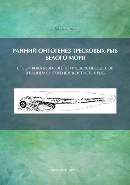 В. В. Махотин: Ранний онтогенез тресковых рыб Белого моря. Специфика морфогенетических процессов в раннем онтогенезе костистых рыб (на примере развития тресковых)