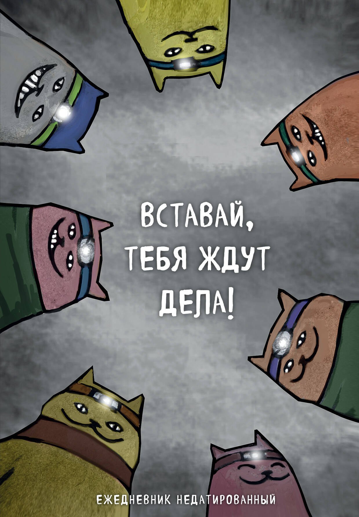 Е.В. Богданова: Ежедневник недатированный Коты-туристы Вставай, тебя ждут дела (144 стр)