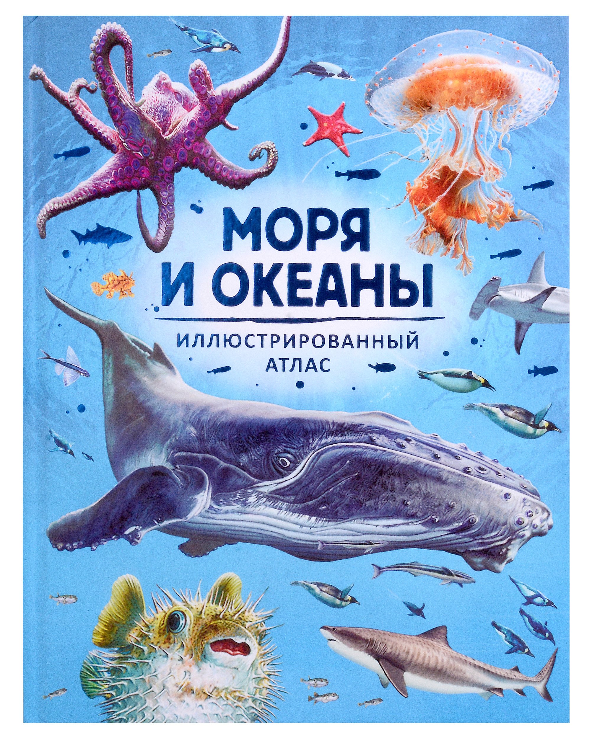 Делгадо Консуэло: Моря и океаны. Иллюстрированный атлас