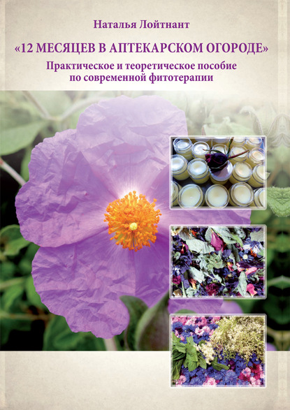 А. Н. Лойтнант: 12 месяцев в аптекарском огороде