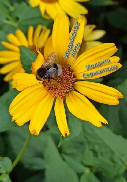 Ариковна Иоланта Сержантова: Индийское лето