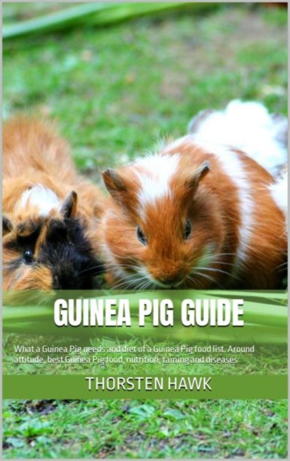 Hawk Thorsten: Guinea Pig Guide