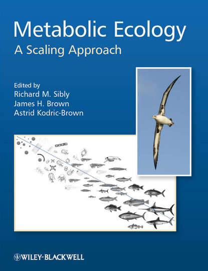 Brown James: Metabolic Ecology. A Scaling Approach