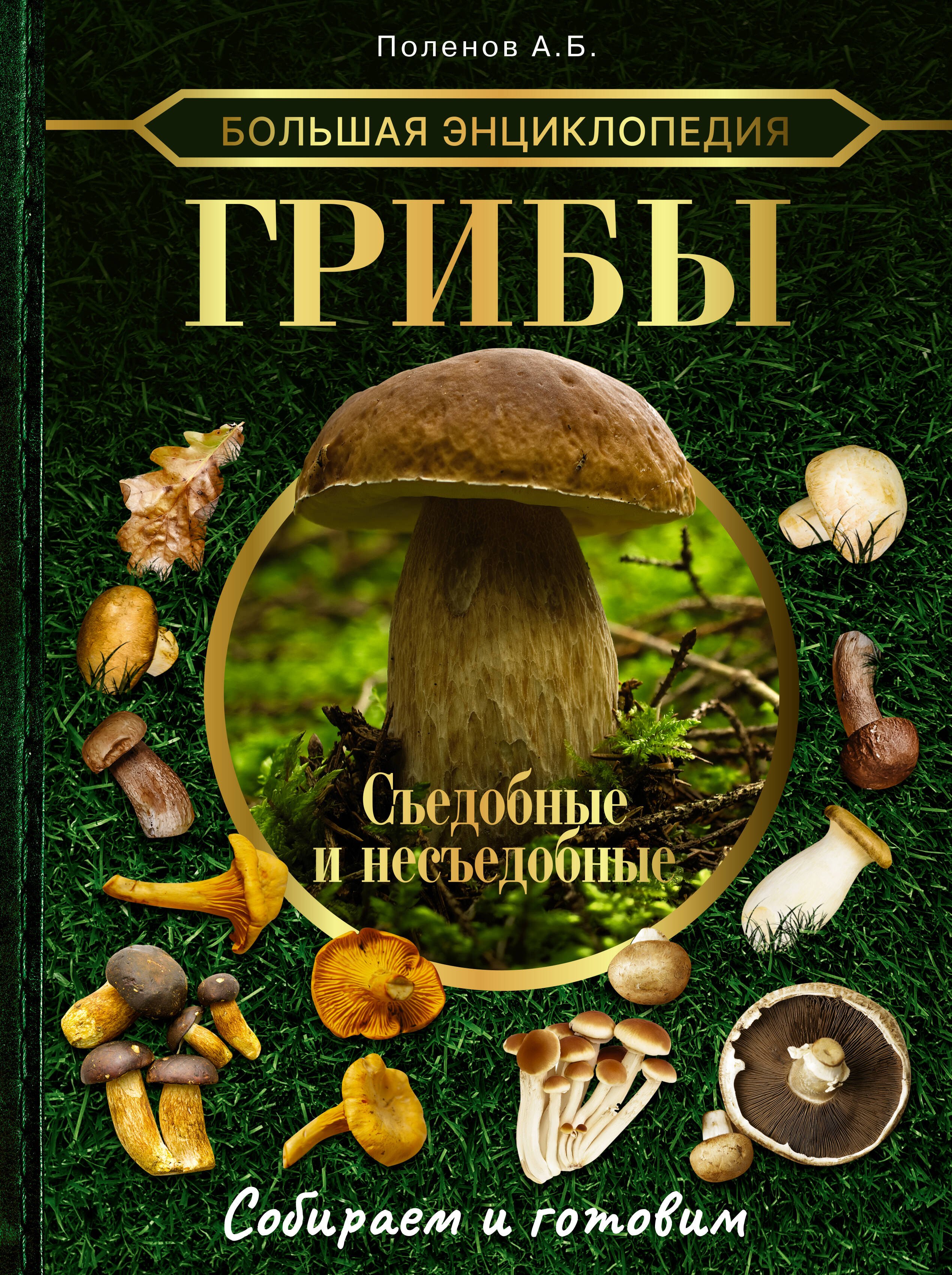 Борисович Поленов Андрей: Большая энциклопедия грибника. Съедобные и несъедобные. Собираем и готовим