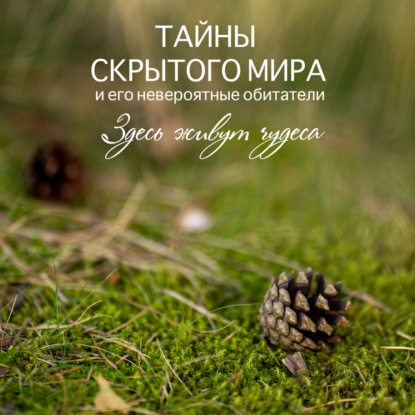 Носова Елена: Тайны скрытого мира и его невероятные обитатели. Здесь живут чудеса.
