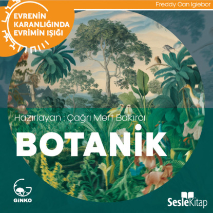 Mert Çağrı Bakırcı: EVRENİN KARANLIĞINDA EVRİMİN IŞIĞI BÖLÜM 11 / EVRİMSEL MÜHENDİSLİK - Biyolojinin Sınırları Ötesine Taşan Evrim...