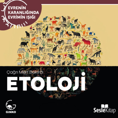 Mert Çağrı Bakırcı: EVRENİN KARANLIĞINDA EVRİMİN IŞIĞI BÖLÜM 8 / ANTROPOLOJİ - İnsanı Anlamak...