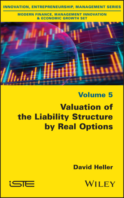 Heller David: Valuation of the Liability Structure by Real Options