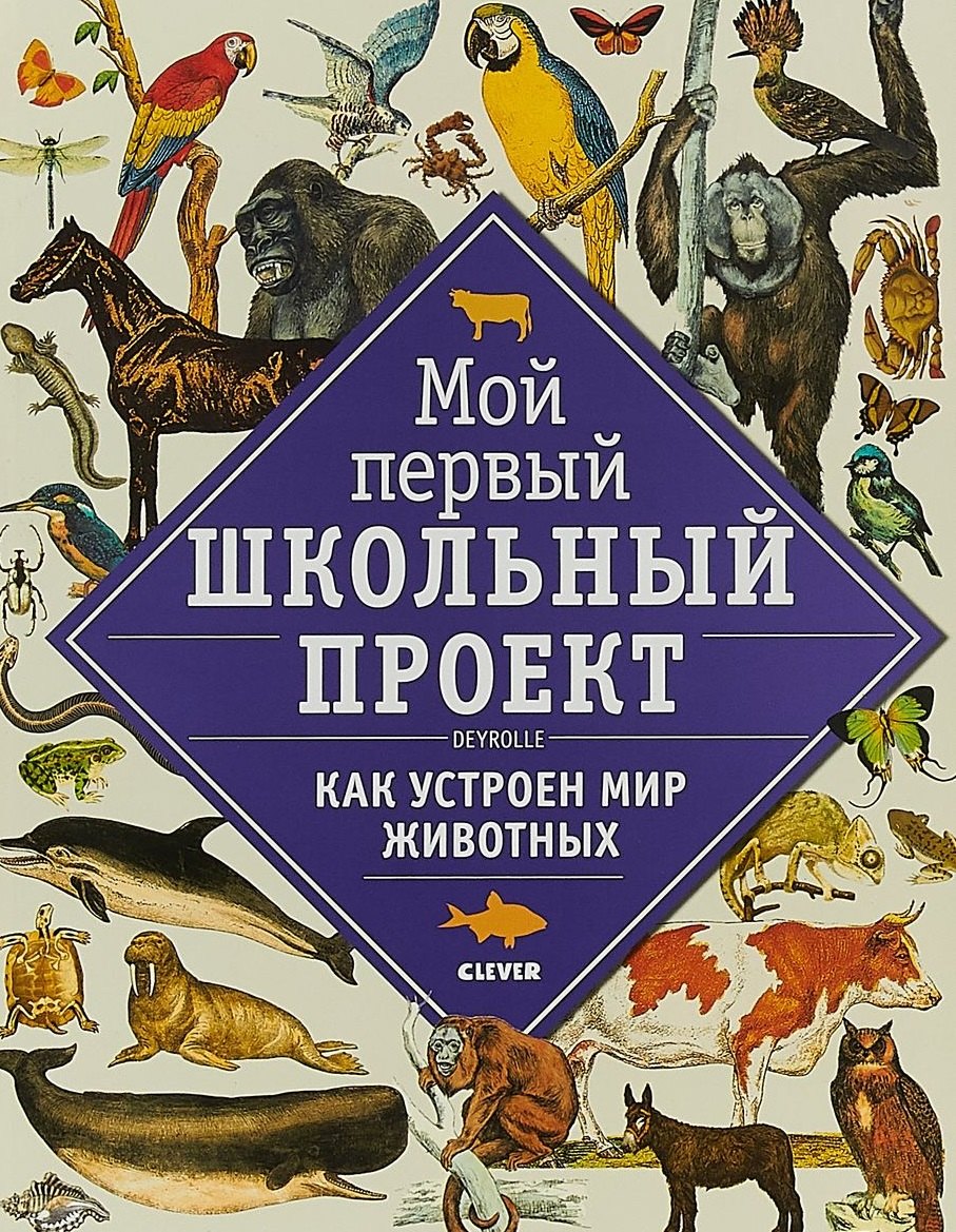 Как устроен мир животных